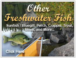 Other Freshwater Fish