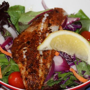 Fresh Walleye Fillets - Skinless -10 pounds