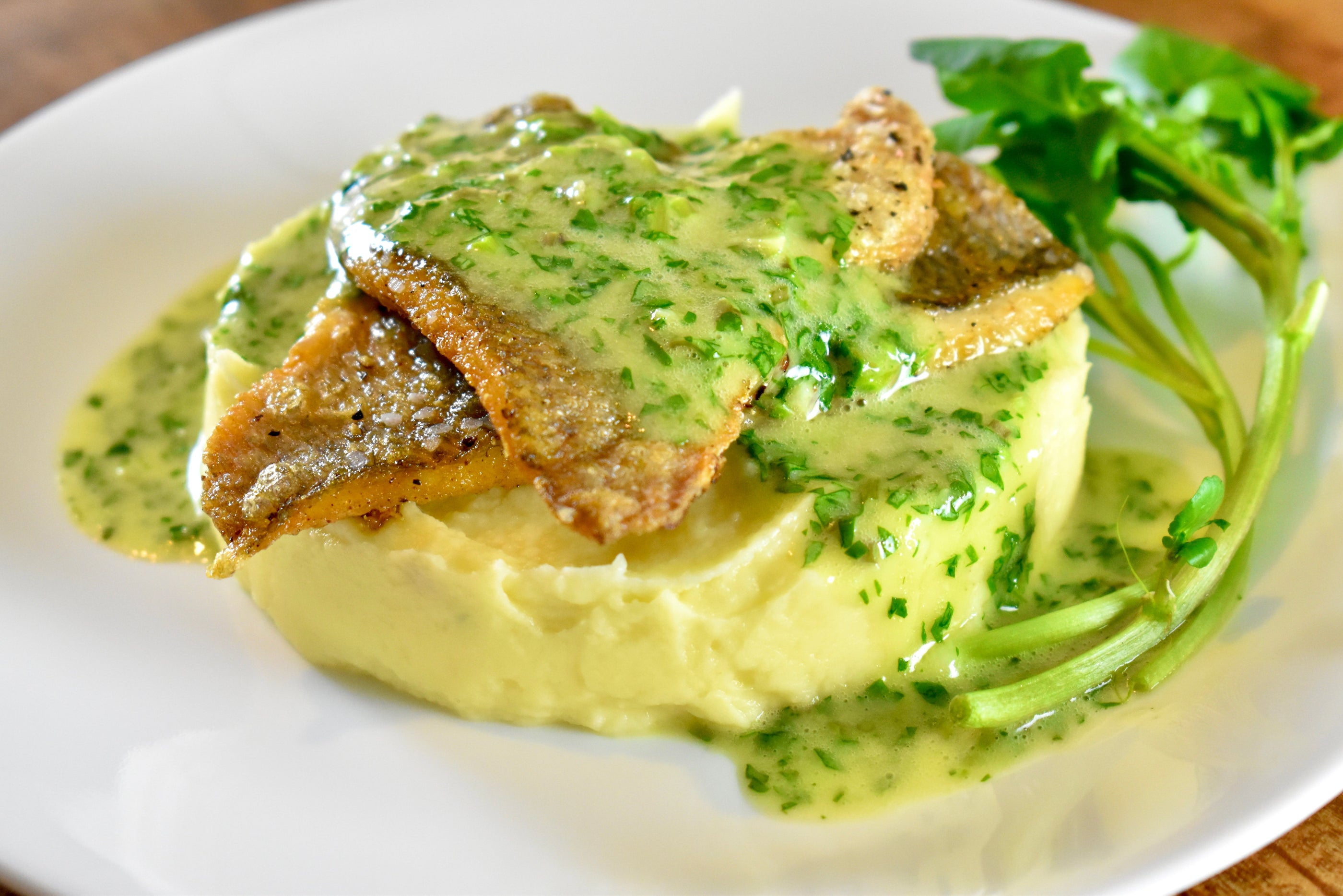 Perch Fillets over Parsnip Puree