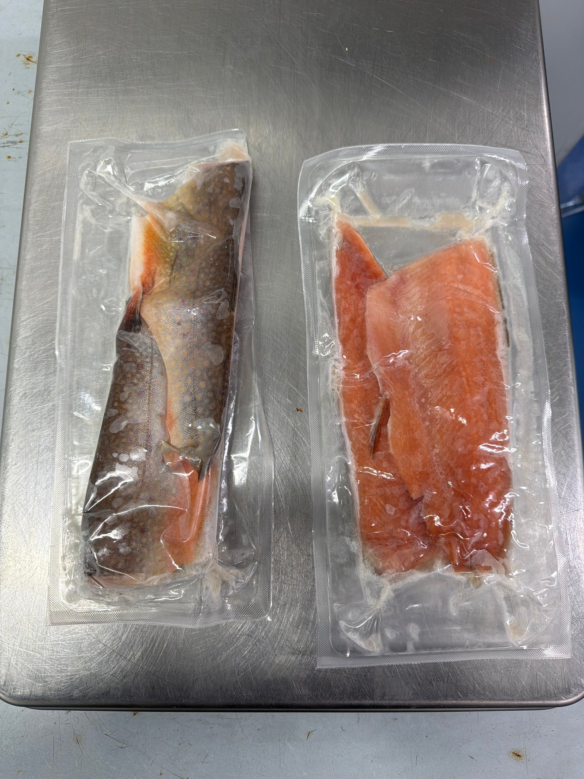Brook Trout Fillets - VacPack - 5 lbs