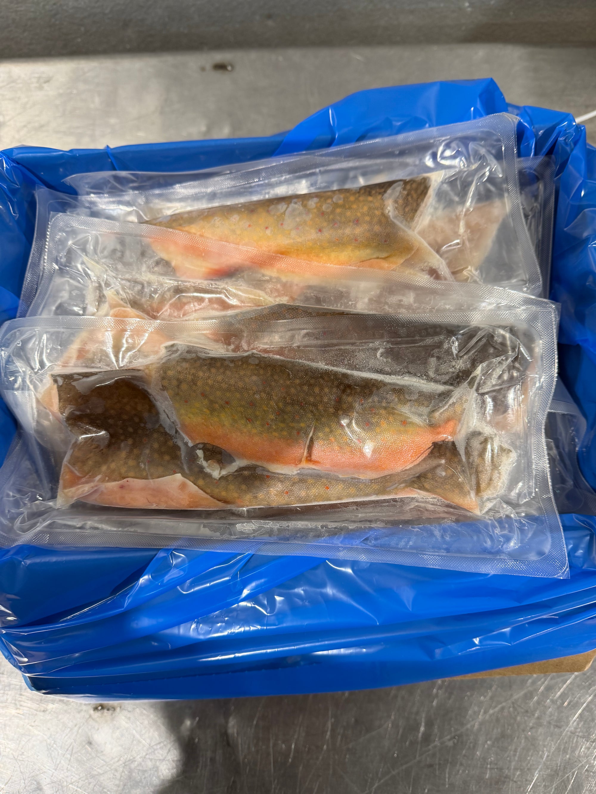 Brook Trout Fillets - VacPack - 5 lbs