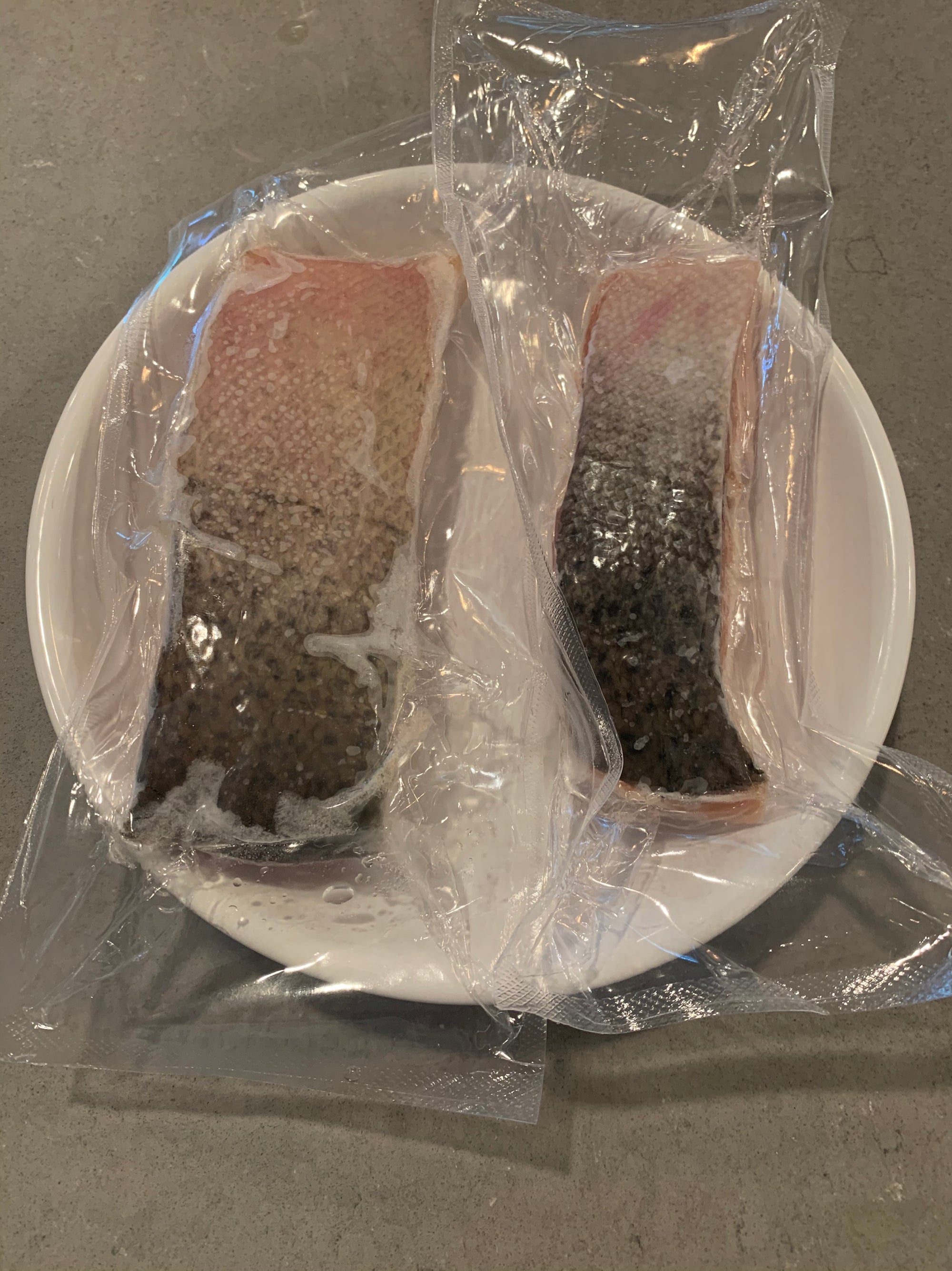 Freshwater King Salmon - 5 pounds