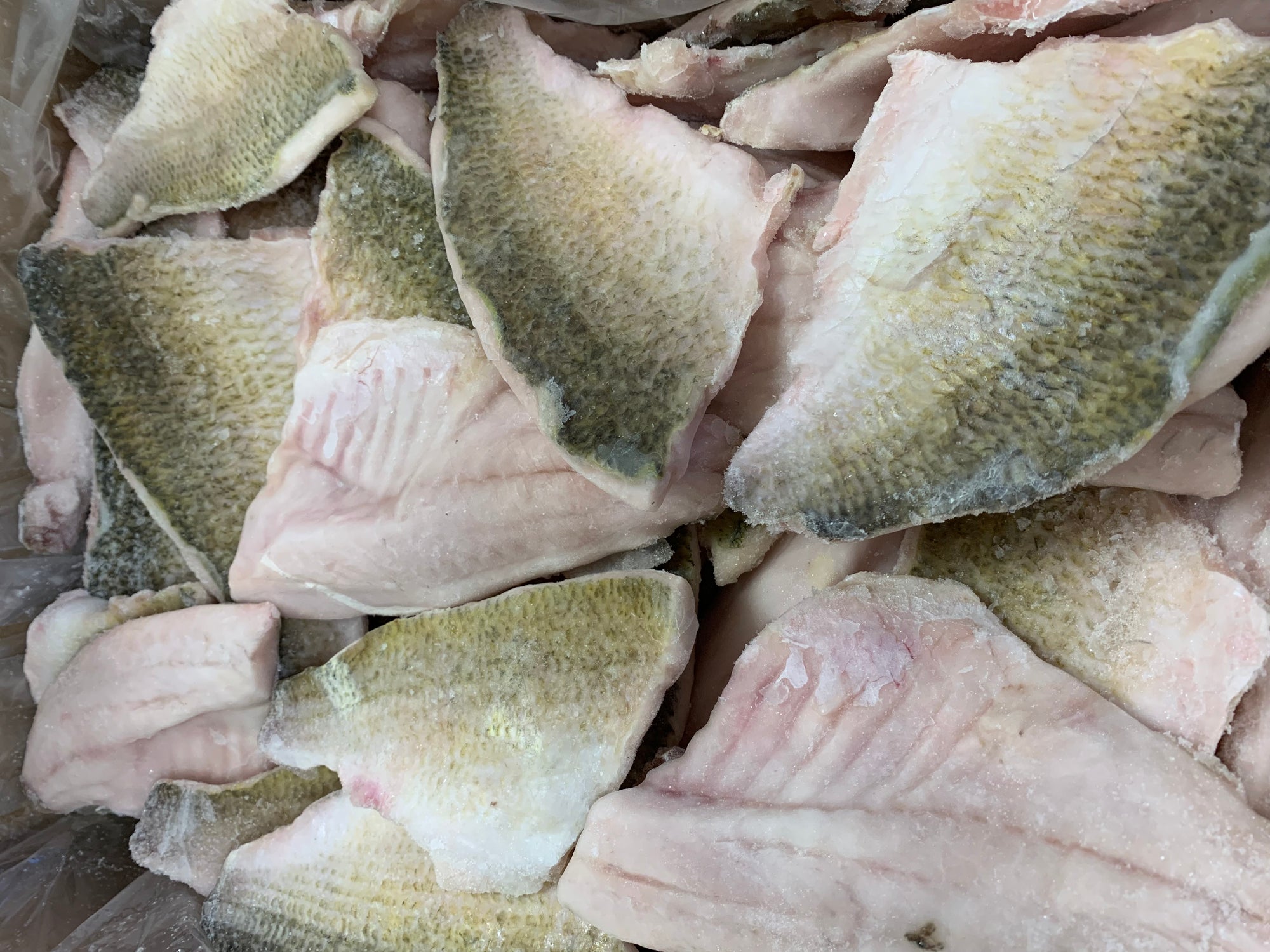 White Perch Fillets - 5 lbs