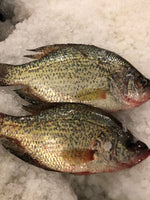 Whole Crappie - 5 pounds
