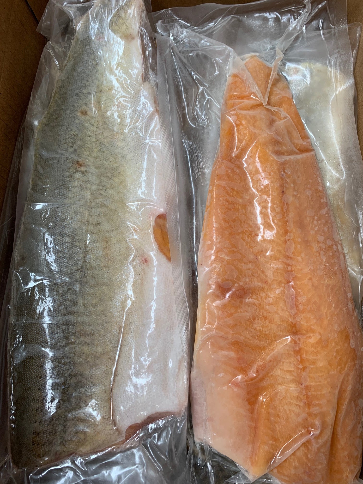 Lake Trout Portions - 5 lbs