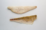 Sauger Fillets - 5 pounds