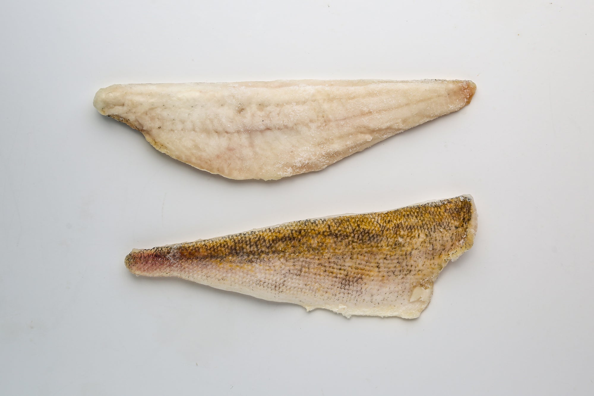 Sauger Fillets - 5 pounds