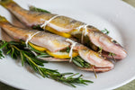 Whole Perch - 5 pounds