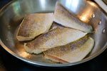 Vac Pack Walleye Fillets - 5 lbs