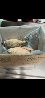 Whole Crappie - 5 pounds