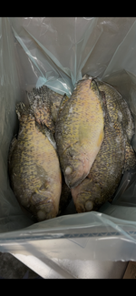 Whole Crappie - 5 pounds