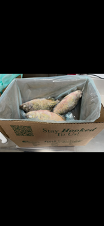 Whole Crappie - 5 pounds