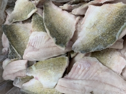 White Perch Fillets - 11 lbs