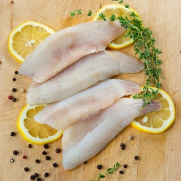 Yellow Lake Perch Fillets - 5 lbs