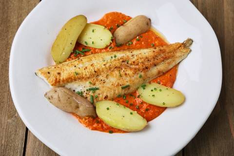 Vac Pack Walleye Fillets - 5 lbs