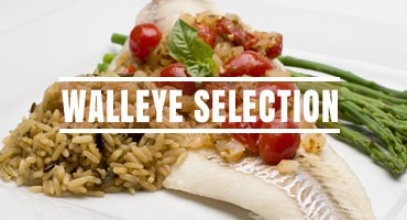 Walleye Selection