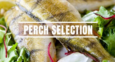 Perch Selection